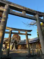 素盞鳴神社の鳥居