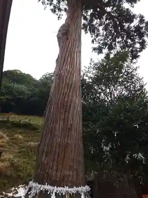 須我神社(島根県)