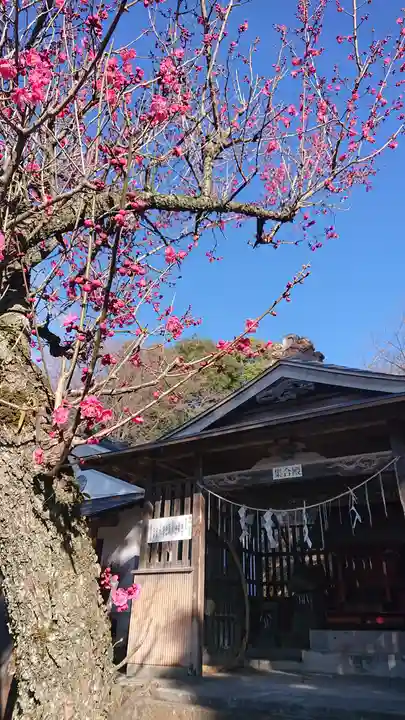 賀茂別雷神社のその他建物