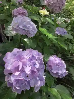 長谷寺(神奈川県)