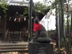 赤坂氷川神社の狛犬