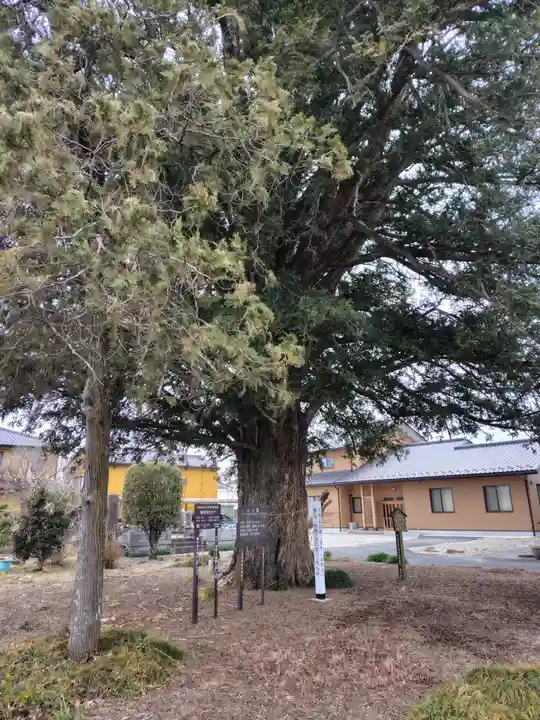高性寺(栃木県)