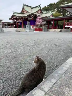 篠崎八幡神社(福岡県)