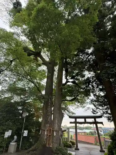 比々多神社(神奈川県)