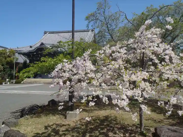 満福寺(三好稲荷閣)(愛知県)