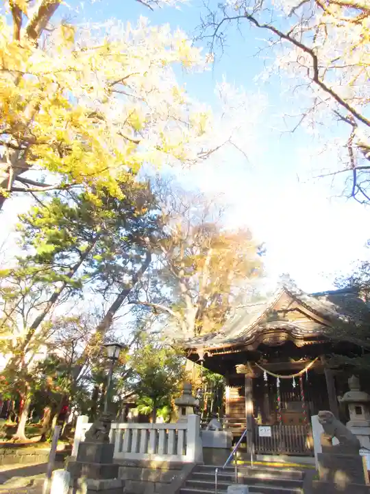 亀岡八幡宮(亀岡八幡神社)の本殿・本堂