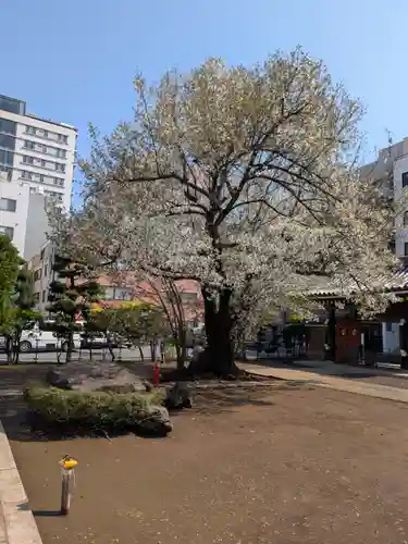 霊雲寺(東京都)