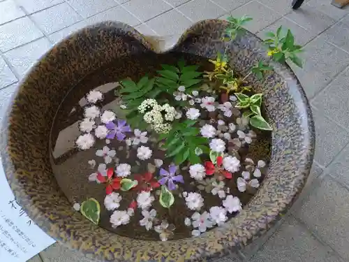 美瑛神社の手水