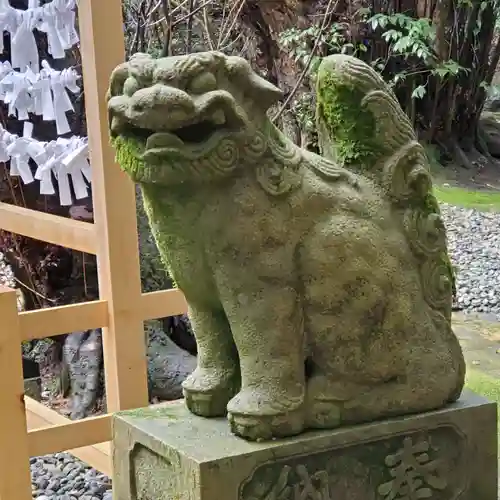 須須神社の狛犬