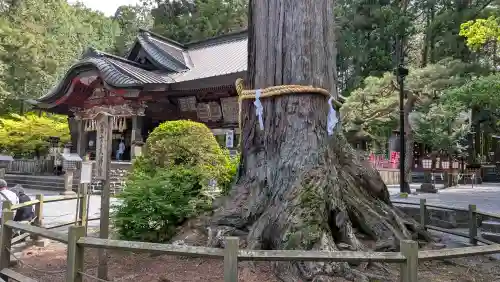北口本宮冨士浅間神社の{uncategorized: "未分類", other: "その他", undefined: "問題あり", building: "その他建物", grave: "お墓", sacred_gate: "鳥居", guardian: "狛犬", statue: "像", buddha: "仏像", history: "歴史", nature: "自然", garden: "庭園", animal: "動物", pagoda: "塔", temizu: "手水舎", mountain_gate: "山門・神門", sanctuary: "本殿・本堂", subordinate: "末社・摂社", art: "芸術", scenery: "景色", jizo: "地蔵", ema: "絵馬", goshuin: "御朱印", omikuji: "おみくじ", items: "授与品その他", amulet: "お守り", goshuincho: "御朱印帳", eats: "食事", festival: "お祭り", votive_dance: "神楽", shichigosan: "七五三参", wedding: "結婚式", experience: "体験その他", initially: "初詣", around: "周辺", anti_infection: "感染症対策"}