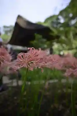 横浜　西方寺(神奈川県)