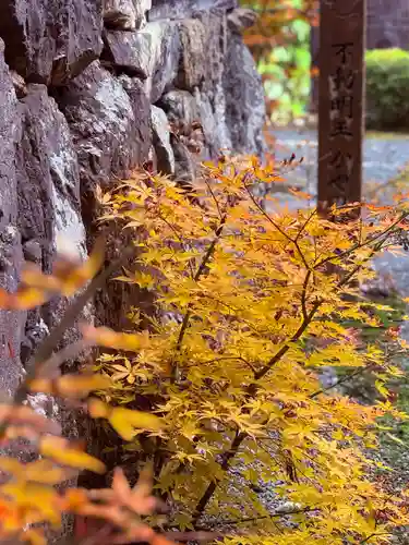 明通寺(福井県)