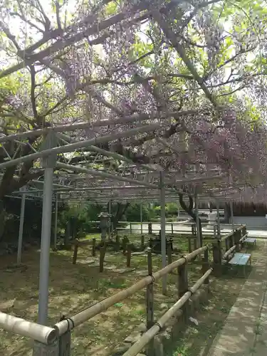 高圓寺(千葉県)