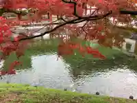 平等院(京都府)