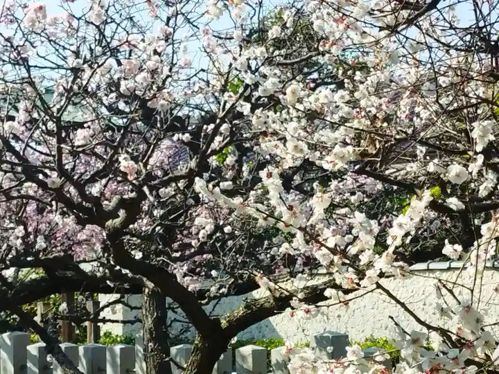 屯倉神社(大阪府)