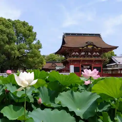 伊賀八幡宮(愛知県)