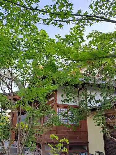 善来寺の建物その他