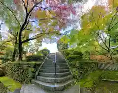 今熊野観音寺(京都府)