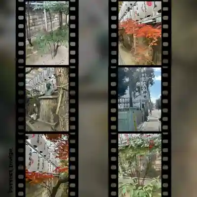 サムハラ神社のその他建物