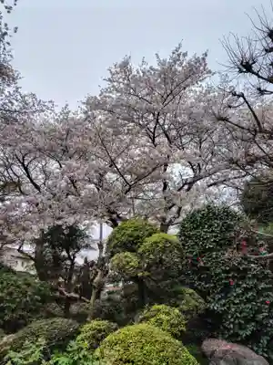 大蔵寺(埼玉県)