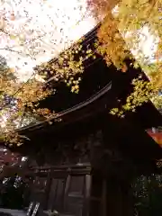 金剛輪寺(滋賀県)