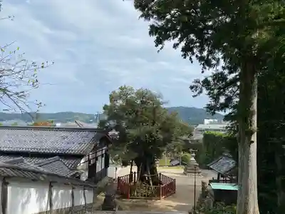 山王宮日吉神社(京都府)