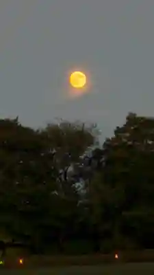 大覚寺(京都府)