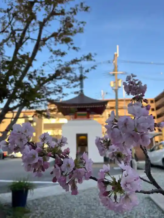本唱寺(大阪府)