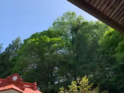 高水山　常福院　龍学寺　の自然