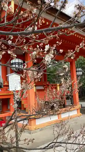 北野天満宮(京都府)