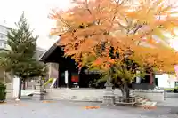 龍宮神社(北海道)