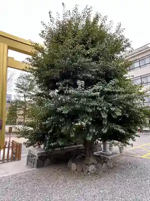 金神社(岐阜県)