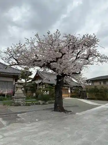弘誓院(神奈川県)