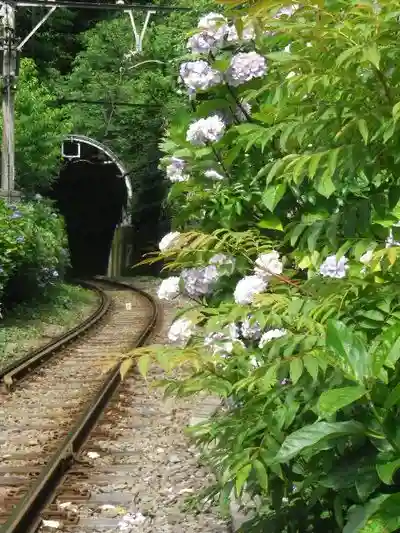 御霊神社の周辺