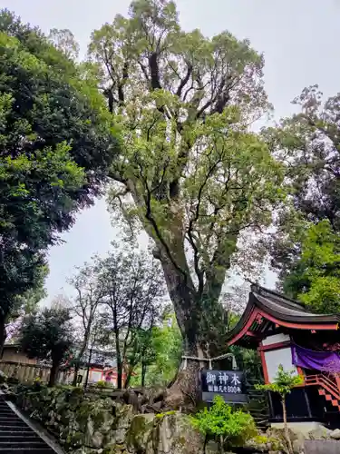 鹿児島神宮(鹿児島県)