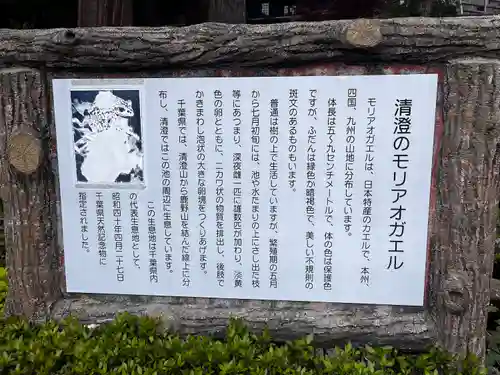 清澄寺(千葉県)