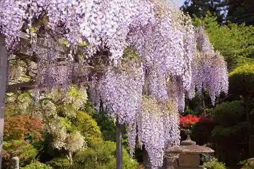 天台宗 五大山 白毫寺(兵庫県)