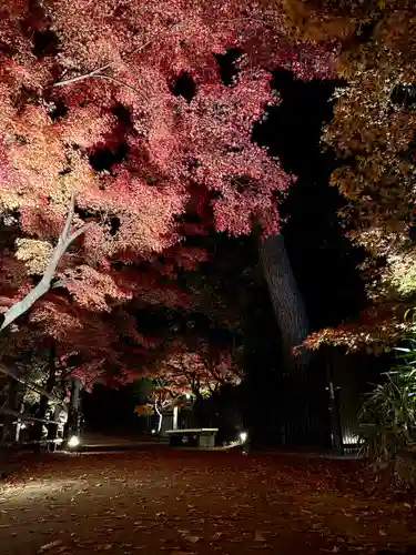北野天満宮(京都府)