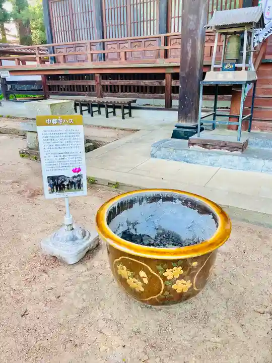 医王寺(福島県)