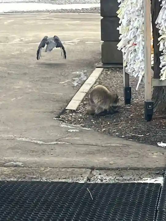 石山神社(北海道)
