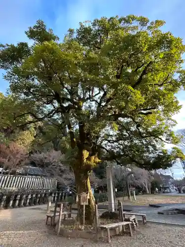 橿森神社の{uncategorized: "未分類", other: "その他", undefined: "問題あり", building: "その他建物", grave: "お墓", sacred_gate: "鳥居", guardian: "狛犬", statue: "像", buddha: "仏像", history: "歴史", nature: "自然", garden: "庭園", animal: "動物", pagoda: "塔", temizu: "手水舎", mountain_gate: "山門・神門", sanctuary: "本殿・本堂", subordinate: "末社・摂社", art: "芸術", scenery: "景色", jizo: "地蔵", ema: "絵馬", goshuin: "御朱印", omikuji: "おみくじ", items: "授与品その他", amulet: "お守り", goshuincho: "御朱印帳", eats: "食事", festival: "お祭り", votive_dance: "神楽", shichigosan: "七五三参", wedding: "結婚式", experience: "体験その他", initially: "初詣", around: "周辺", anti_infection: "感染症対策"}