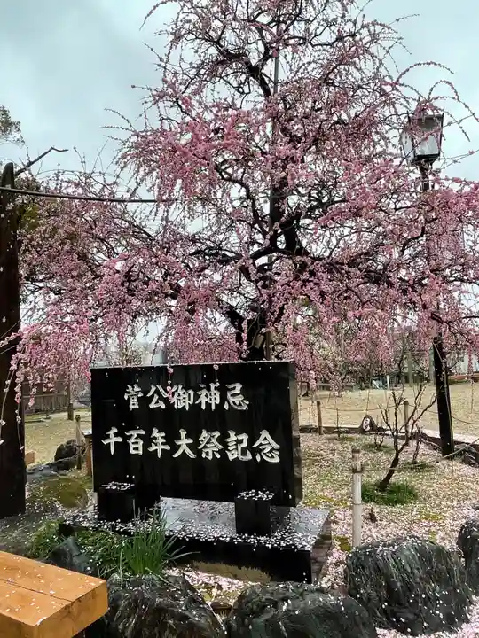 岡崎天満宮の自然