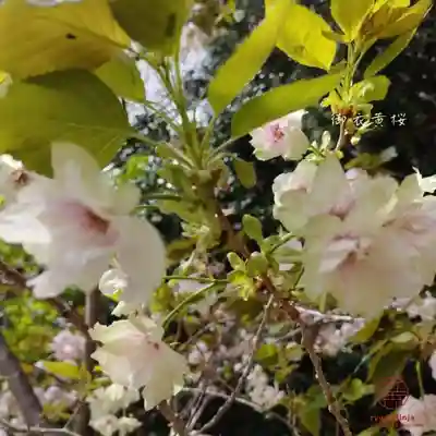 立志神社(滋賀県)