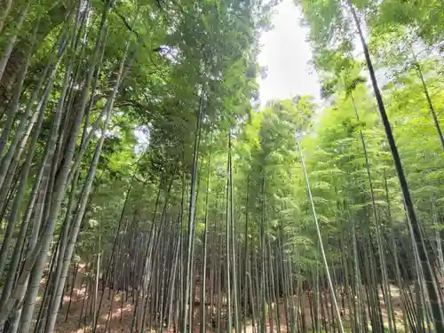 石清水八幡宮の庭園