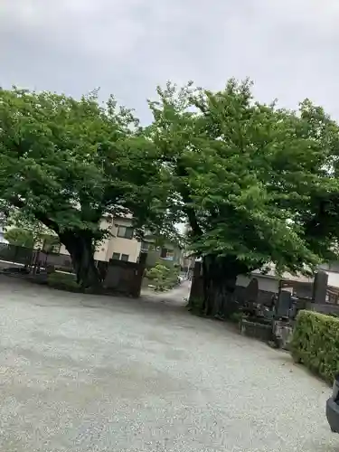 無量寺(神奈川県)