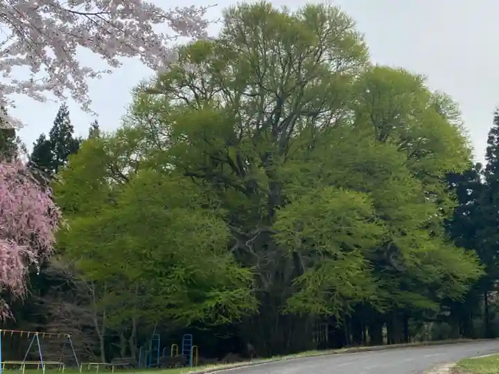 岡谷稲荷神社の自然