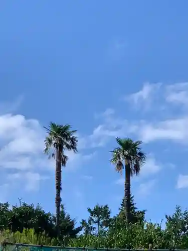 比々多神社の自然