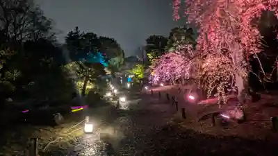 知恩院(京都府)