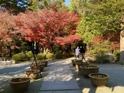 覚園寺(神奈川県)