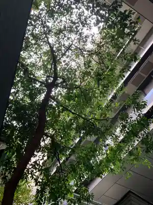 築土神社(東京都)